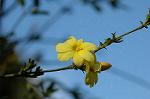 Dcim5796/DSC_9844