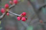 Dcim5796/DSC_9879