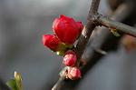 Dcim5796/DSC_9881