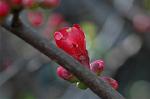 Dcim5796/DSC_9882