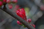 Dcim5796/DSC_9883
