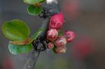 Dcim5796/DSC_9885