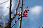 Dcim5797/DSC_9922