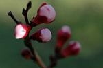 Dcim5797/DSC_9927