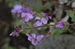 Dcim5797/DSC_9935
