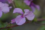 Dcim5797/DSC_9936