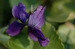 Dcim5797/DSC_9956