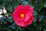Dcim5797/DSC_9980