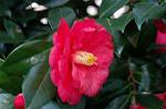 Dcim5797/DSC_9985