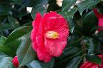 Dcim5797/DSC_9986