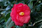 Dcim5797/DSC_9987