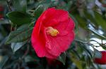 Dcim5797/DSC_9990