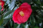 Dcim5797/DSC_9991