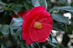 Dcim5797/DSC_9992