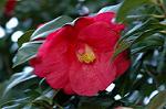 Dcim5797/DSC_9996