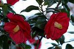 Dcim5797/DSC_9997
