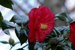 Dcim5797/DSC_9999