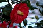 Dcim5798/DSC_0001
