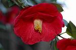 Dcim5798/DSC_0002