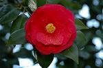 Dcim5798/DSC_0003