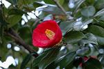 Dcim5798/DSC_0005