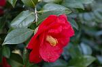 Dcim5798/DSC_0006