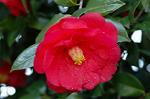 Dcim5798/DSC_0007
