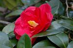 Dcim5798/DSC_0008