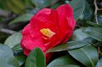 Dcim5798/DSC_0009