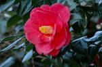 Dcim5798/DSC_0011