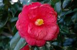 Dcim5798/DSC_0012