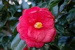 Dcim5798/DSC_0013
