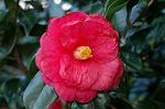 Dcim5798/DSC_0014