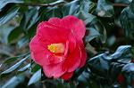 Dcim5798/DSC_0015