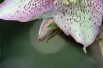 Dcim5798/DSC_0054