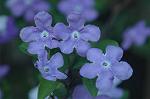 Dcim5798/DSC_0058