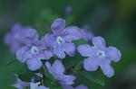 Dcim5798/DSC_0060