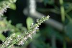 Dcim5798/DSC_0071