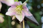 Dcim5799/DSC_1423