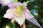 Dcim5799/DSC_1432