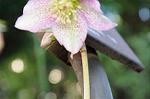 Dcim5799/DSC_1434