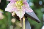 Dcim5799/DSC_1438