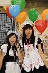 Dcim5807/DSC_2376