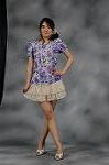 Dcim5815/DSC_3309