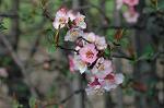 Dcim5818/DSC_0204