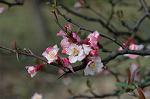 Dcim5818/DSC_0205