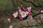 Dcim5818/DSC_0206