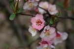 Dcim5818/DSC_0208