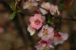 Dcim5818/DSC_0210