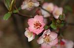 Dcim5818/DSC_0212